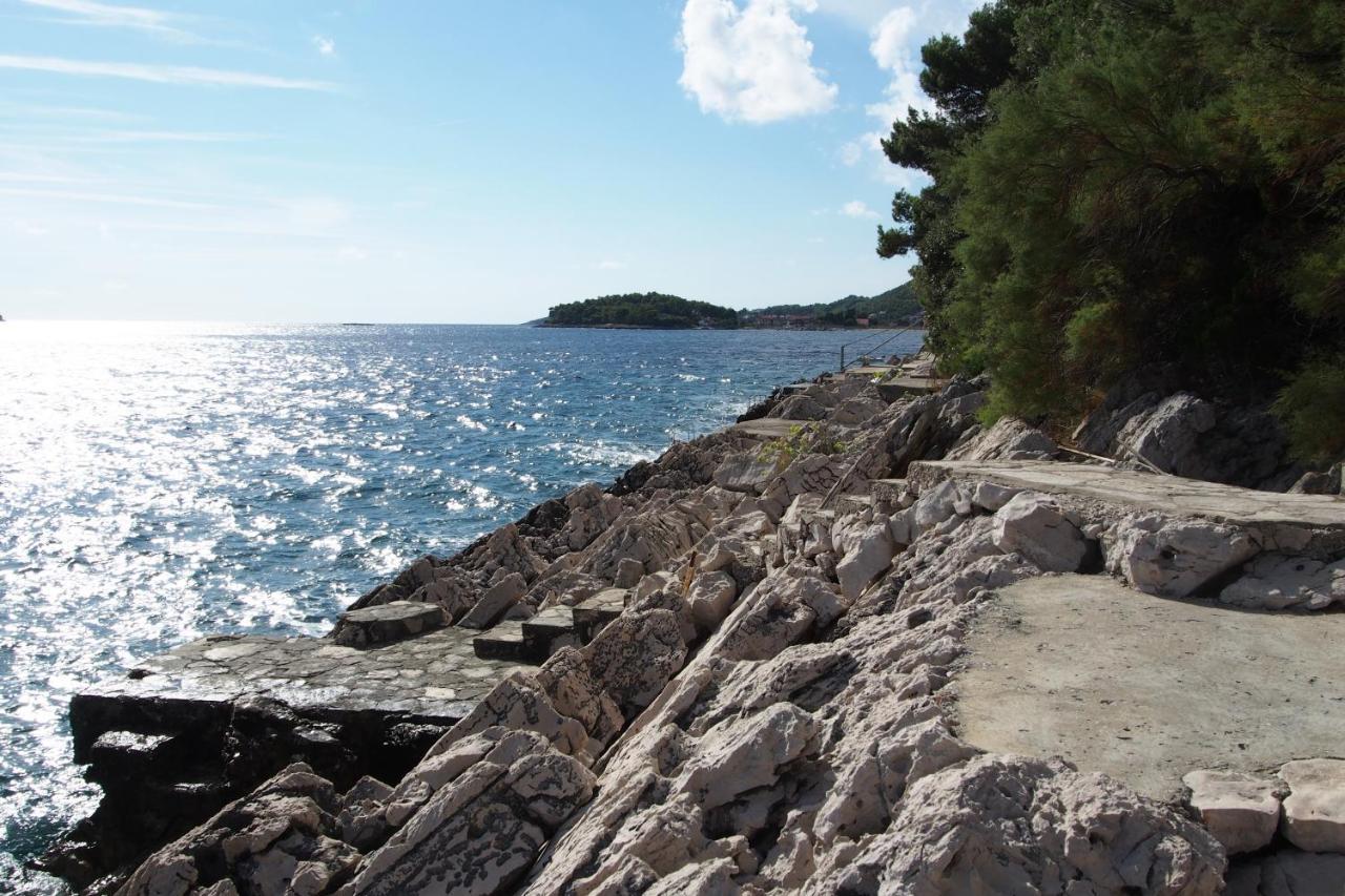 Apartments By The Sea Prizba, Korcula - 9255 Extérieur photo